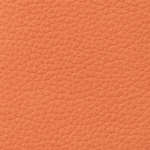 Eugenia Flower Orange Napa Bag